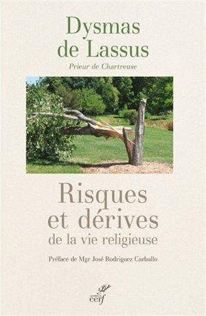 Risques et dérives